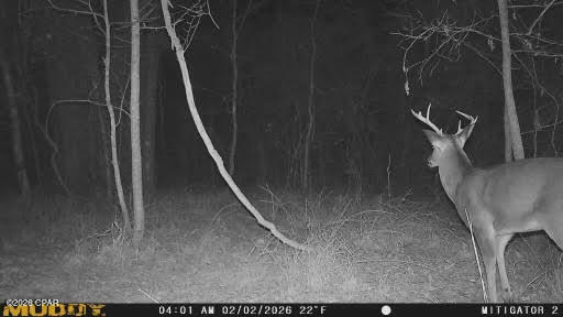 0 Iron Bridge Road Marianna, FL 32448 - Photo 16 of 19