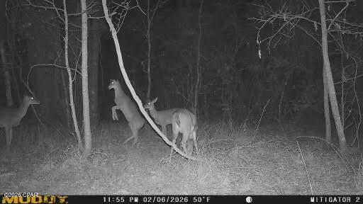 0 Iron Bridge Road Marianna, FL 32448 - Photo 17 of 19