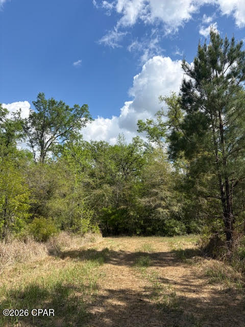 0 Iron Bridge Road Marianna, FL 32448 - Photo 4 of 19