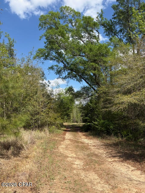 0 Iron Bridge Road Marianna, FL 32448 - Photo 5 of 19