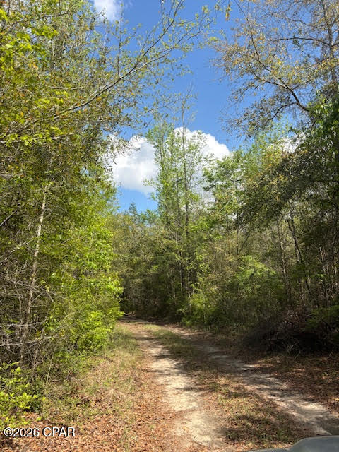 0 Iron Bridge Road Marianna, FL 32448 - Photo 6 of 19