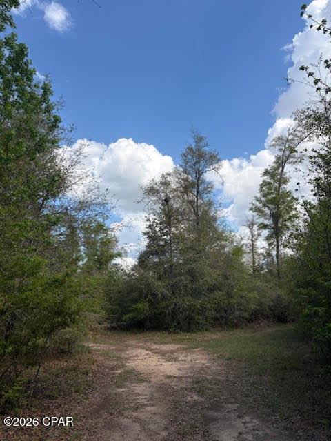 0 Iron Bridge Road Marianna, FL 32448 - Photo 7 of 19