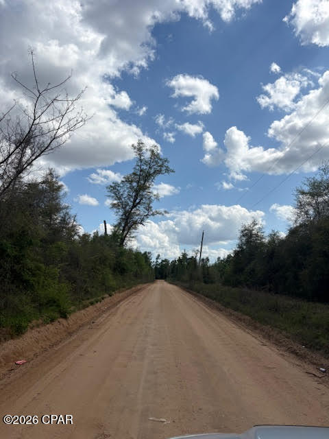 0 Iron Bridge Road Marianna, FL 32448 - Photo 8 of 19