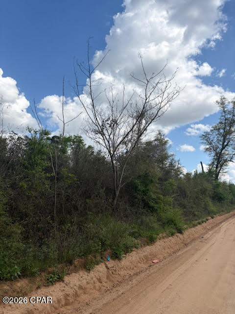 0 Iron Bridge Road Marianna, FL 32448 - Photo 9 of 19