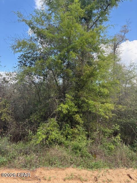 0 Iron Bridge Road Marianna, FL 32448 - Photo 10 of 19