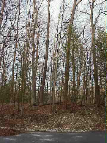 11078 Beach Road Sister Bay, WI 54234 - Photo 1 of 1 Main View