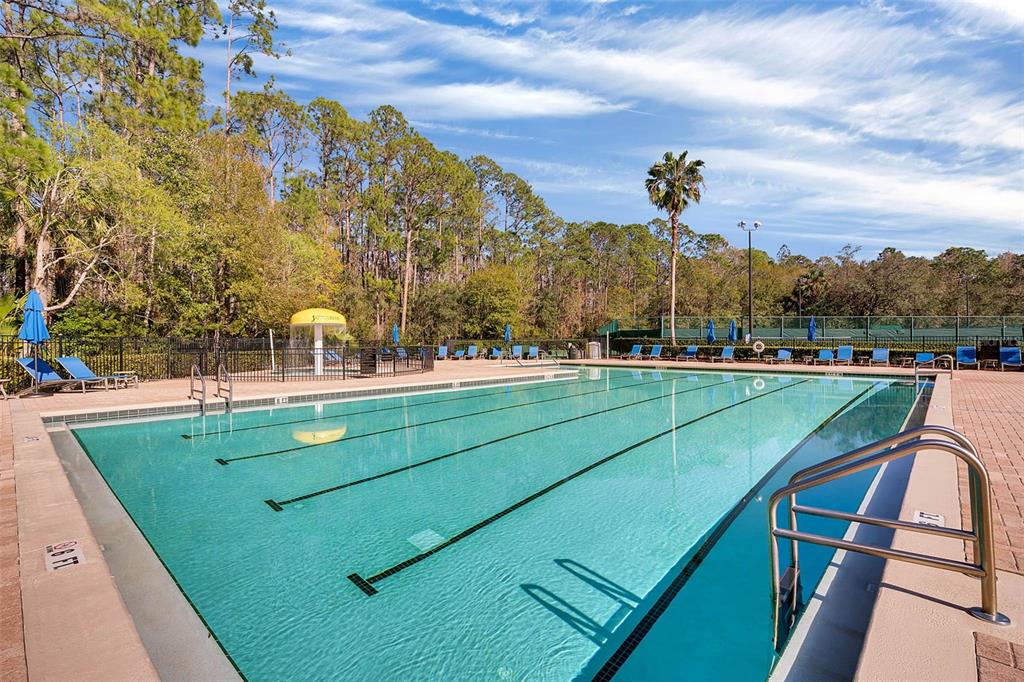 2541 Teton Stone Run Orlando, FL 32828 - Photo 73 of 82