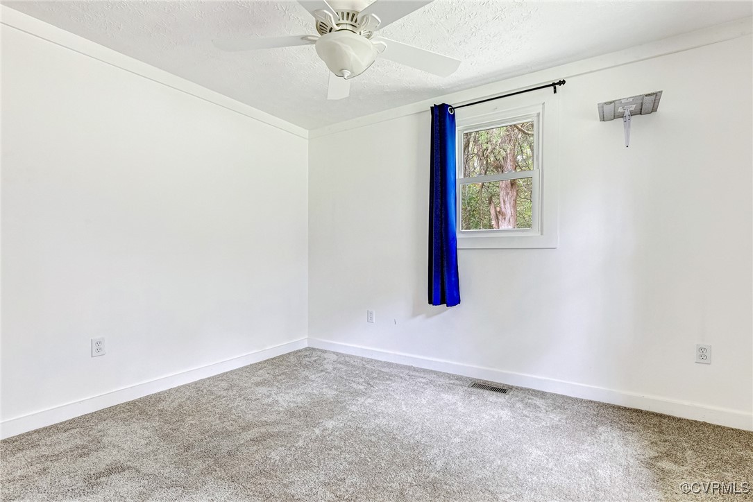 4170 Old Buckingham Road Powhatan, VA 23139 - Photo 11 of 22 Gallery Image 11