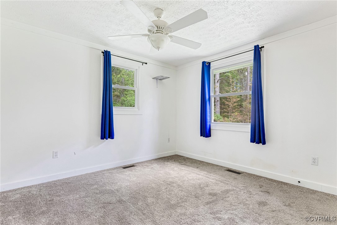 4170 Old Buckingham Road Powhatan, VA 23139 - Photo 12 of 22 Gallery Image 12