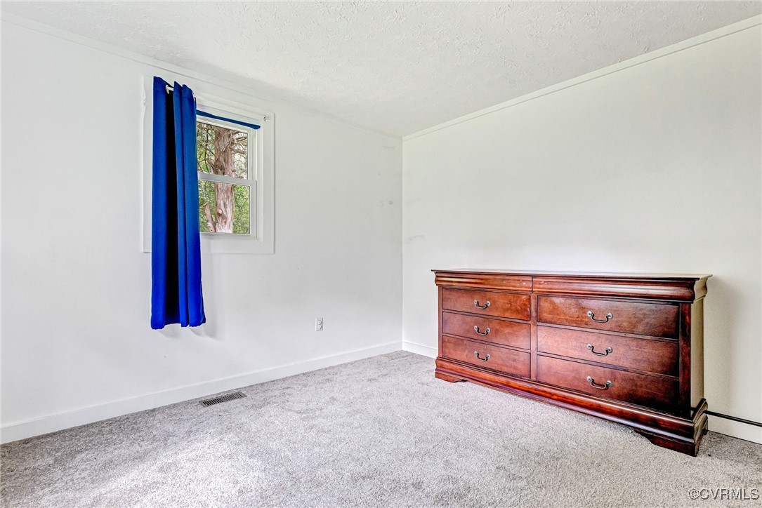 4170 Old Buckingham Road Powhatan, VA 23139 - Photo 10 of 22 Gallery Image 10