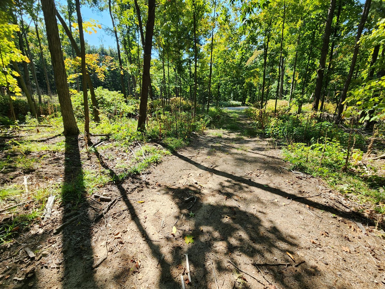 Lot F North Behler Road Bailey, MI 49303 - Photo 11 of 20
