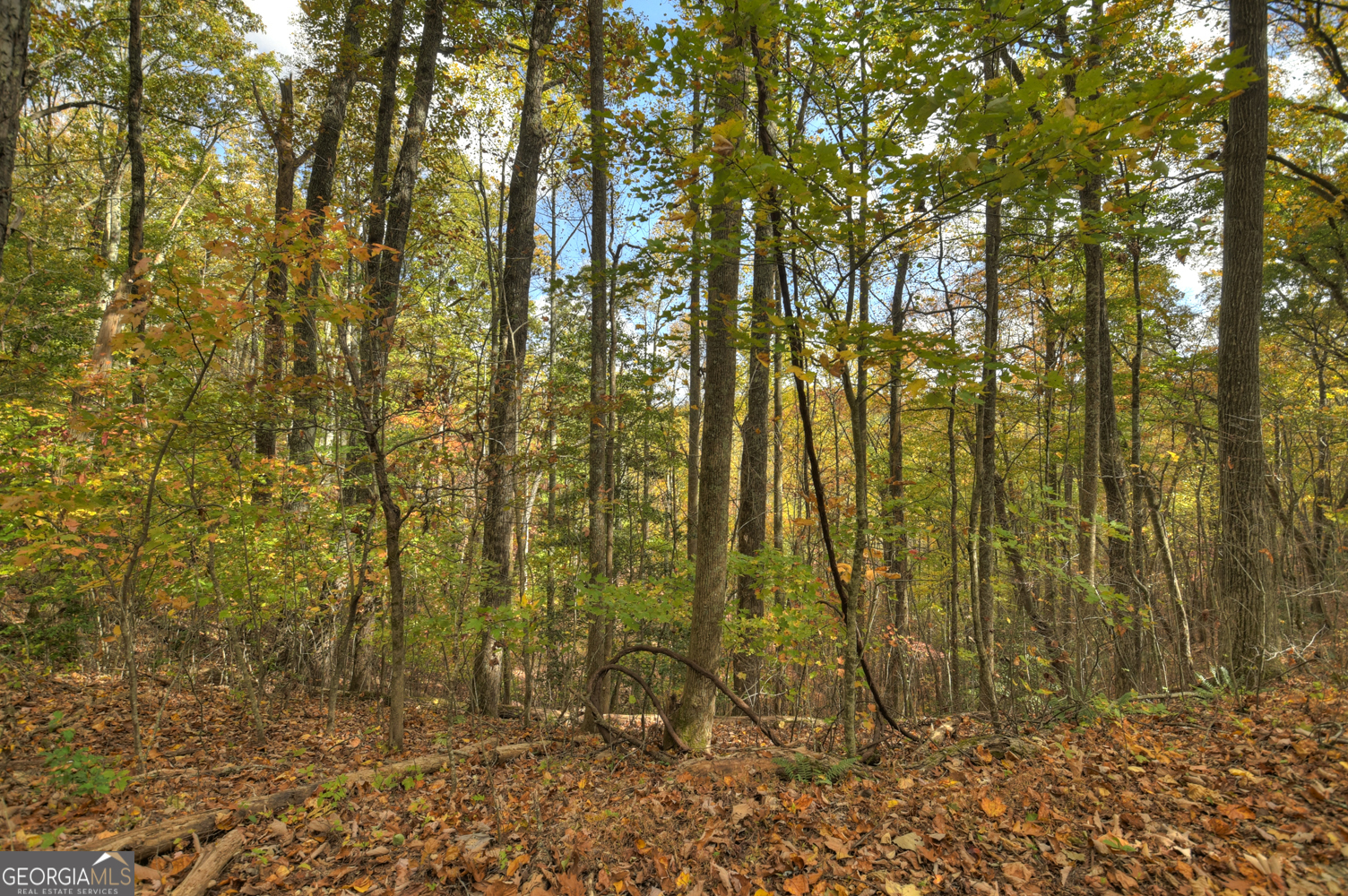 23-AC Weaver Creek Road Blue Ridge, GA 30513 - Photo 5 of 25 Gallery Image 5