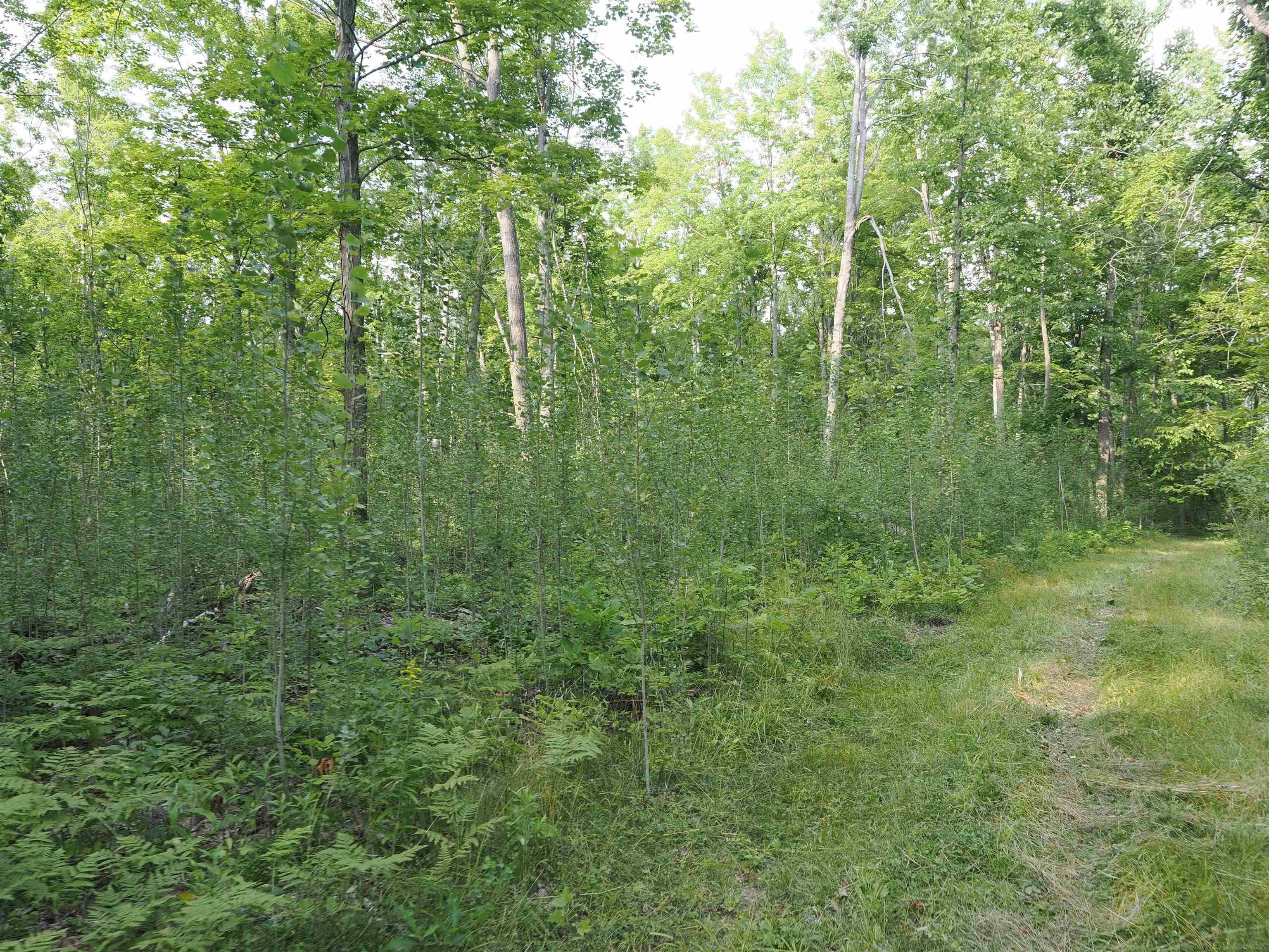 Xxx Emig Road Comins, MI 48619 - Photo 41 of 63 Gallery Image 41