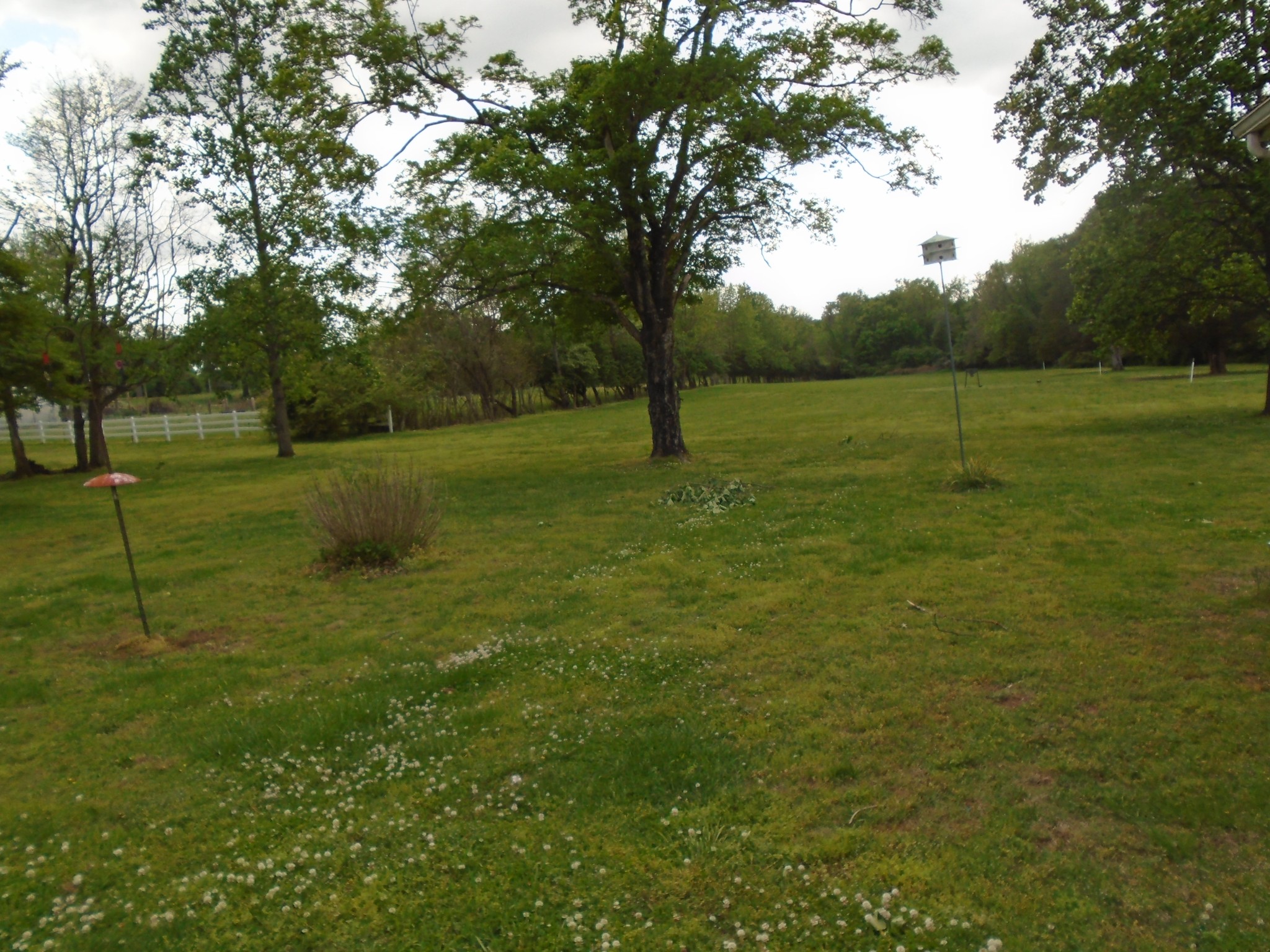 1544 Neelys Bend Road Madison, TN 37115 - Photo 3 of 4