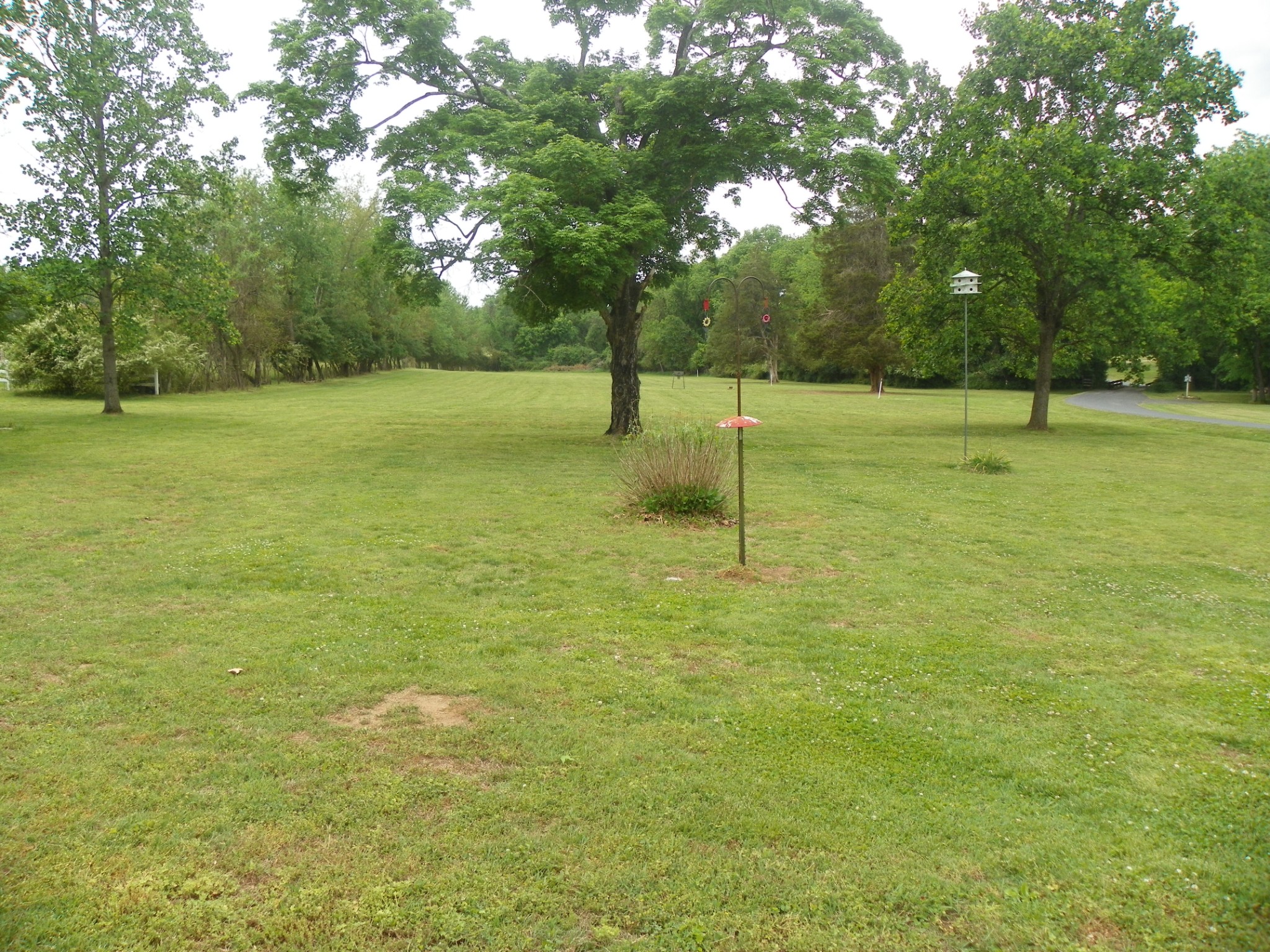 1544 Neelys Bend Road Madison, TN 37115 - Photo 4 of 5