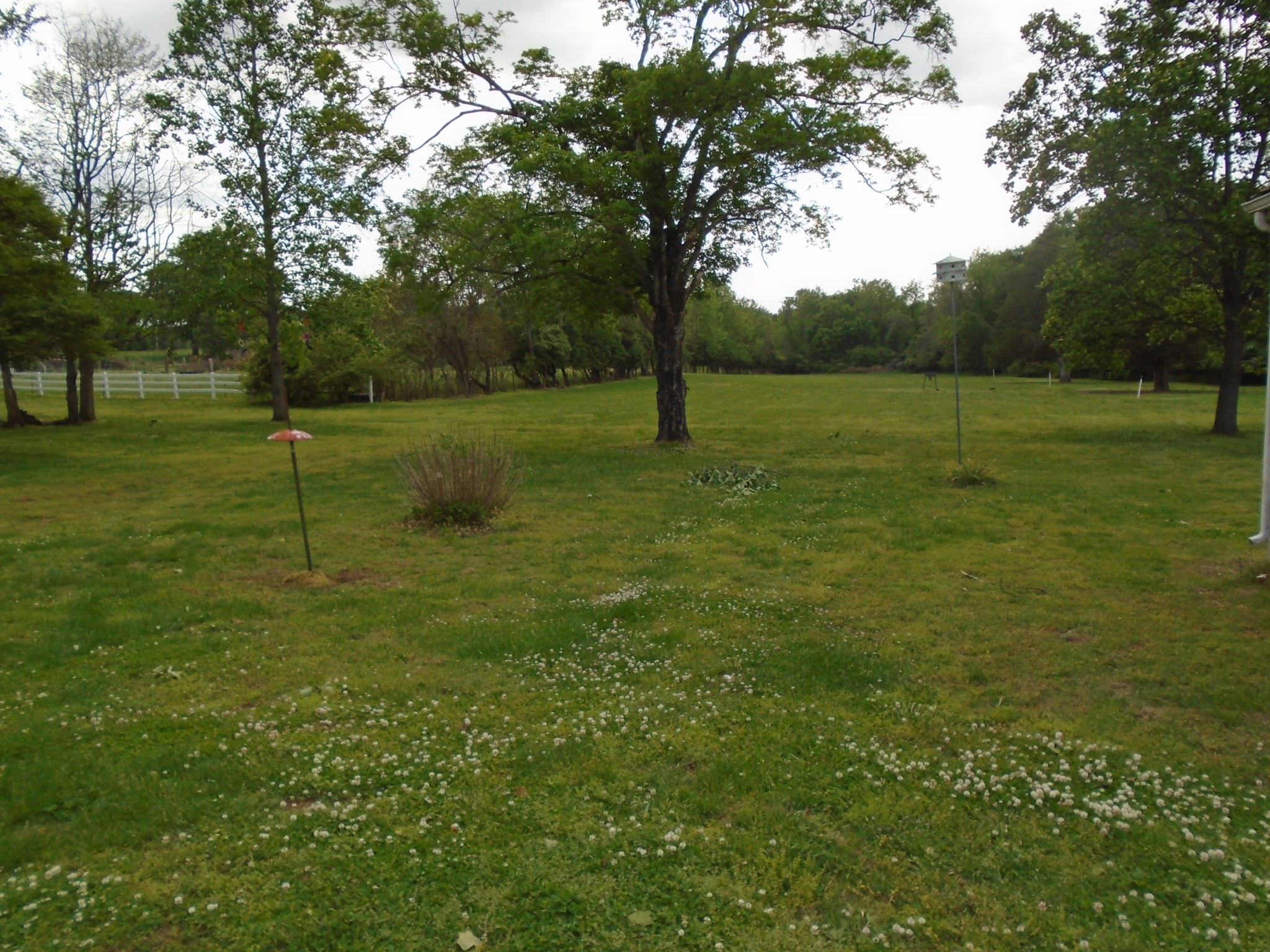 1544 Neelys Bend Road Madison, TN 37115 - Photo 4 of 4