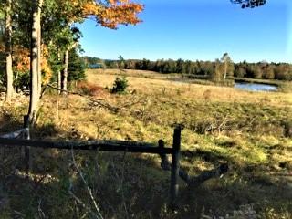 949 Main Road Islesboro, ME 04848 - Photo 18 of 22 View toward the pond Cowan