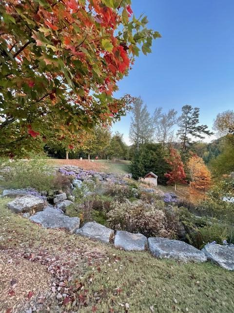 569 Sun Valley Road Chattanooga, TN 37419 - Photo 72 of 81 IMG_5233