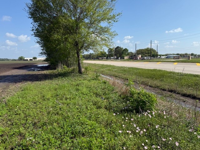 0 Tx Spur-10 Road Rosenberg, TX 77471 - Photo 8 of 10 a view of a green field