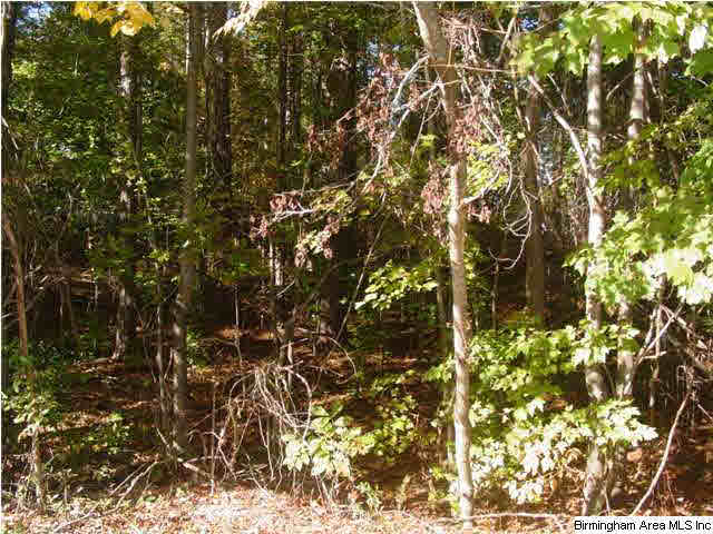 Old Choccolocco Road, Unit 73 Anniston, AL 36207 - Photo 10 of 30