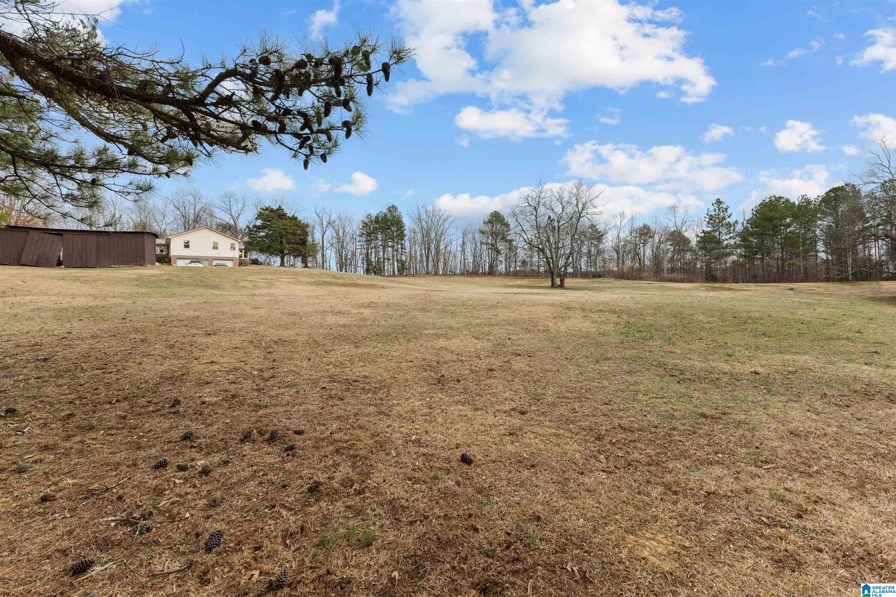 560 Phillips Drive Oneonta, AL 35121 - Photo 50 of 50