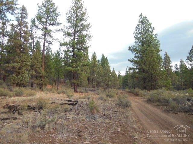 17785 Wilt Road Sisters, OR 97759 - Photo 4 of 25 a view of a forest with trees in the background