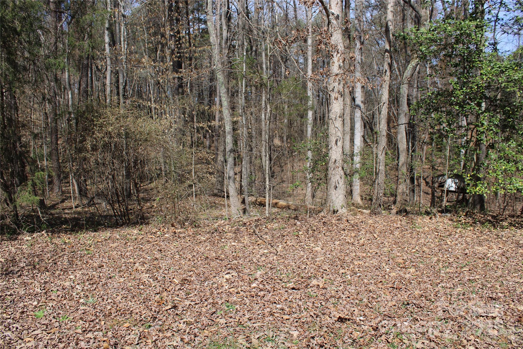 7597 Webbs Road Denver, NC 28037 - Photo 14 of 18 Gallery Image 14