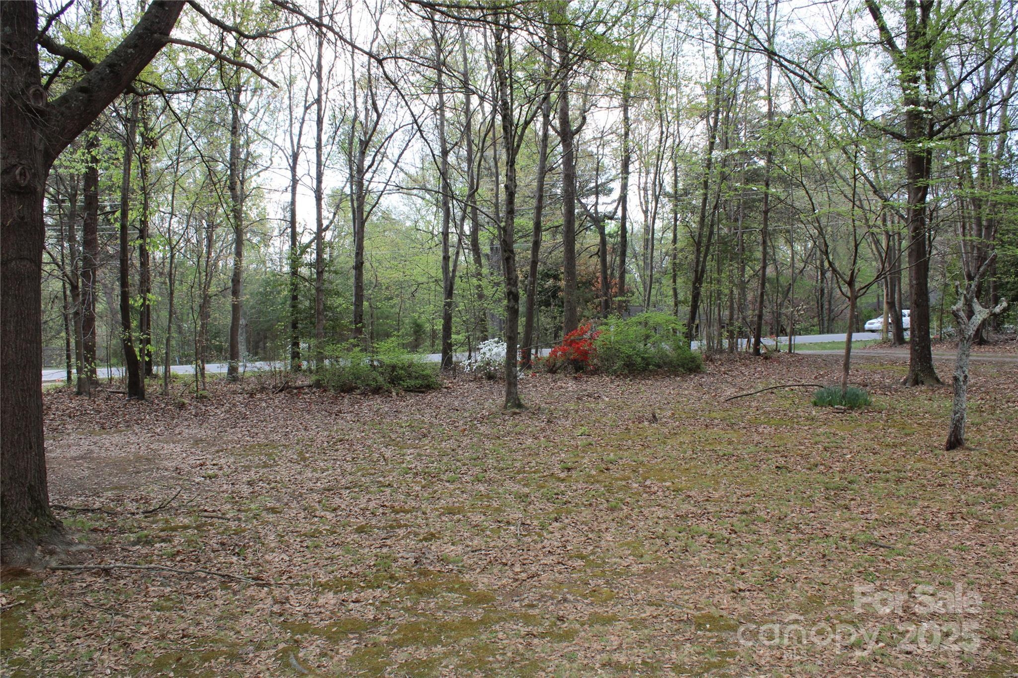 7597 Webbs Road Denver, NC 28037 - Photo 17 of 18 Gallery Image 17