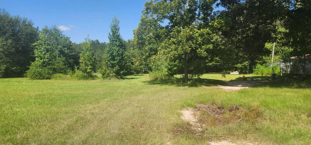 88 Morel Road Poplarville, MS 39470 - Photo 10 of 20 Gallery Image 10
