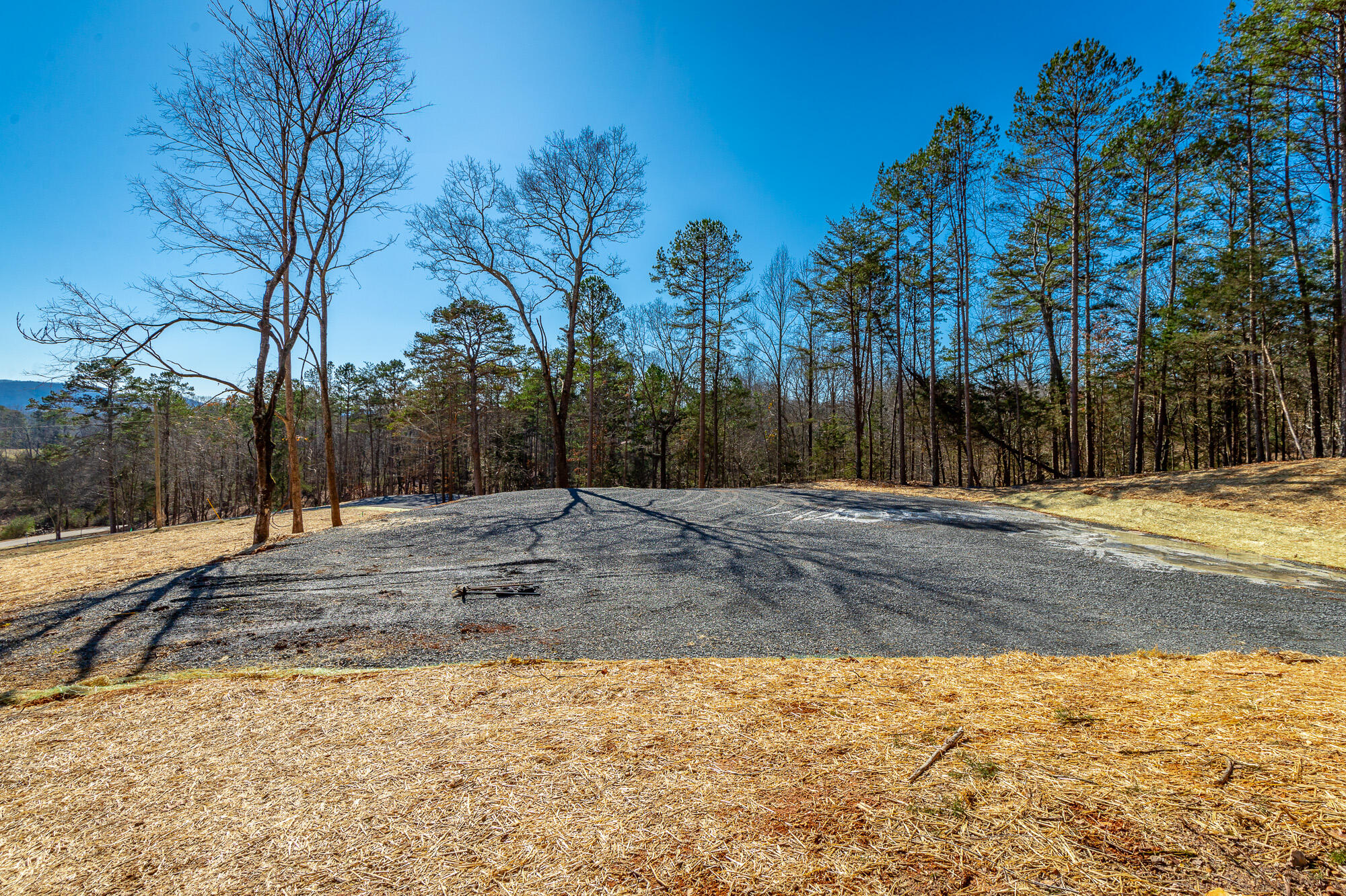 12495 Bettis Road Birchwood, TN 37308 - Photo 12 of 59 12711 Bettis Road Lot HD-11