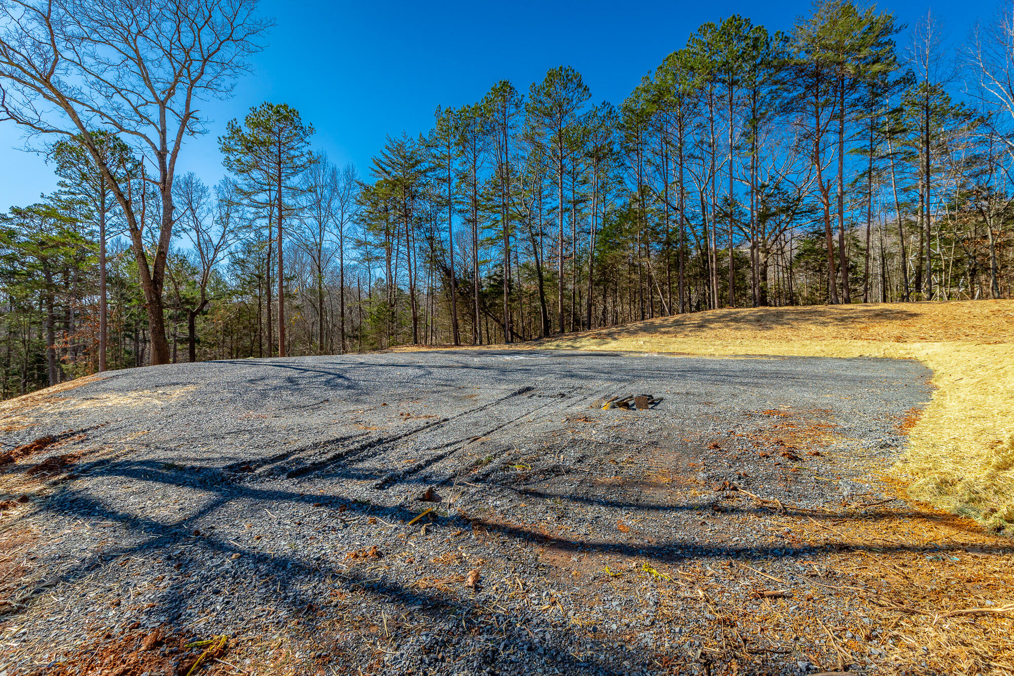 12495 Bettis Road Birchwood, TN 37308 - Photo 14 of 59 12711 Bettis Road Lot HD-13
