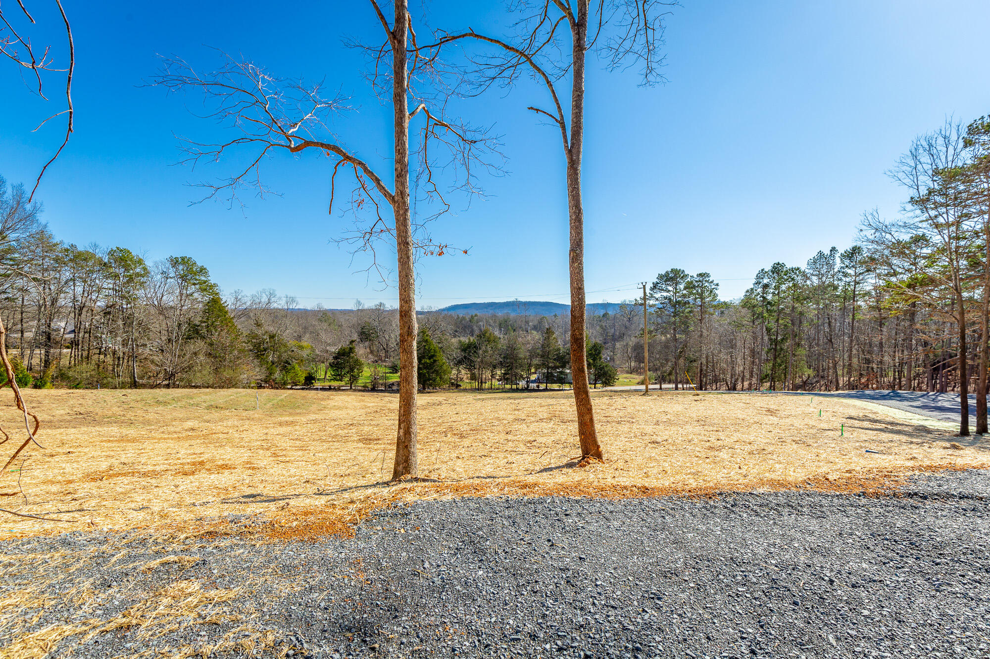 12495 Bettis Road Birchwood, TN 37308 - Photo 16 of 59 12711 Bettis Road Lot HD-15