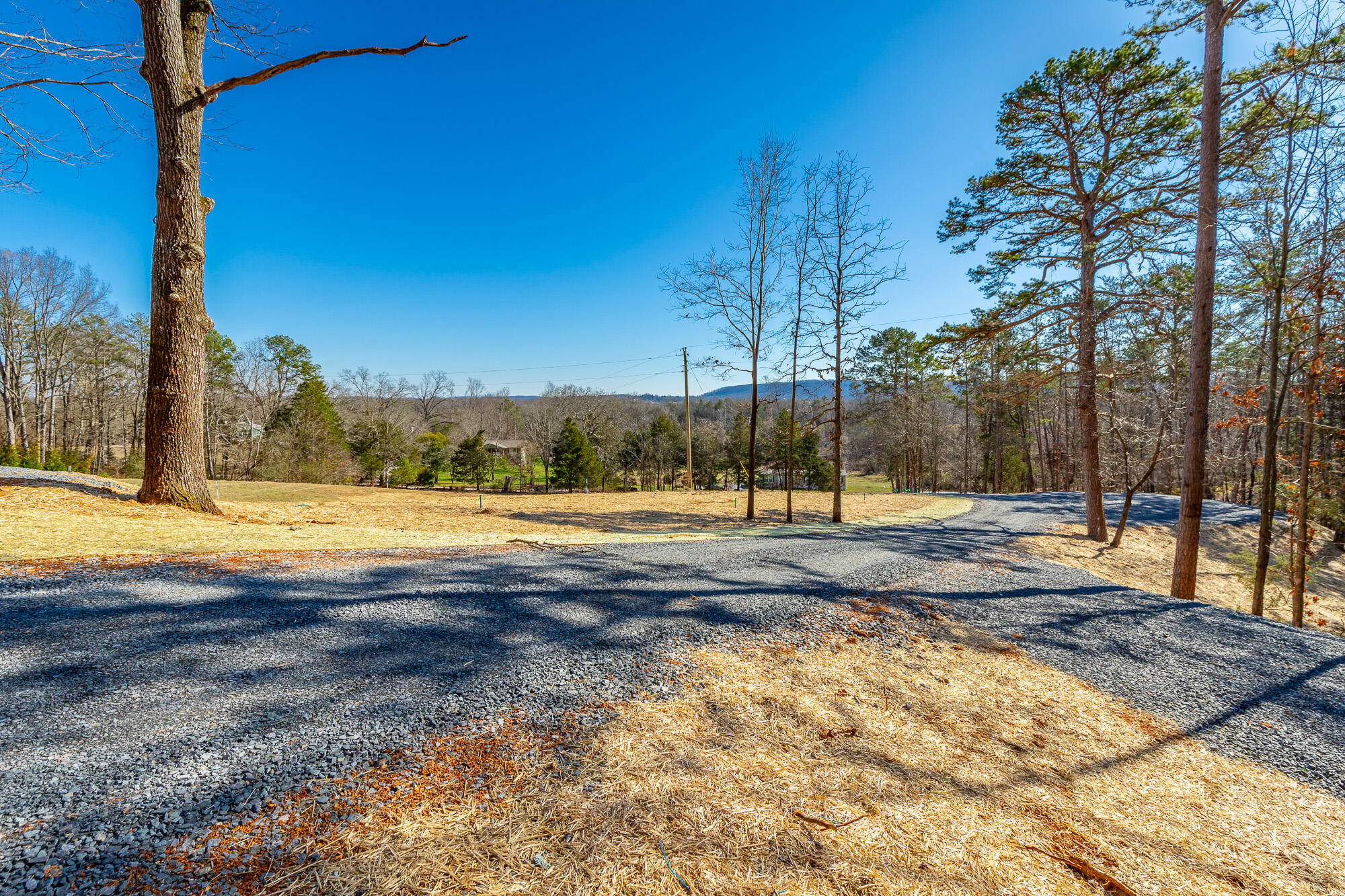 12495 Bettis Road Birchwood, TN 37308 - Photo 20 of 59 12711 Bettis Road Lot HD-19