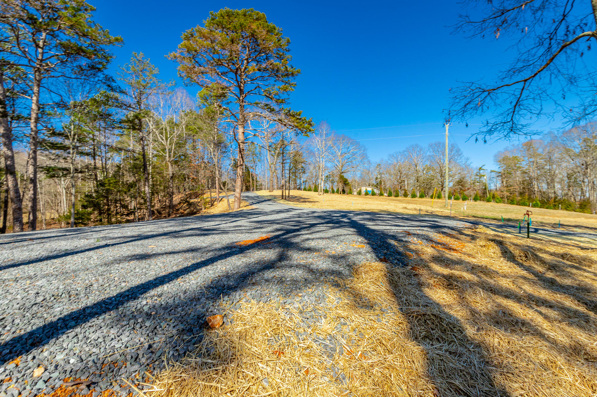 12495 Bettis Road Birchwood, TN 37308 - Photo 28 of 59 12711 Bettis Road Lot HD-27