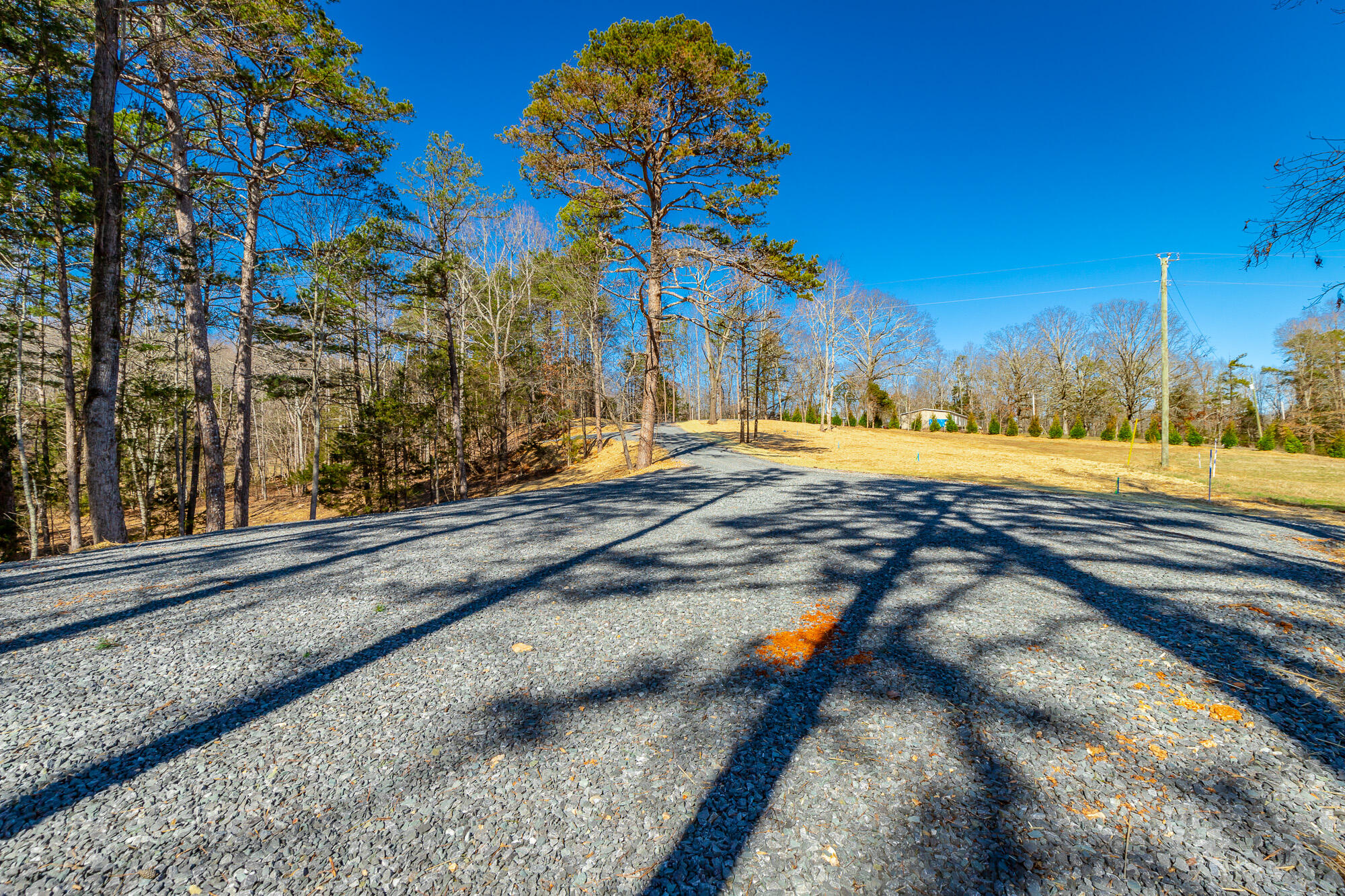 12495 Bettis Road Birchwood, TN 37308 - Photo 29 of 59 12711 Bettis Road Lot HD-28
