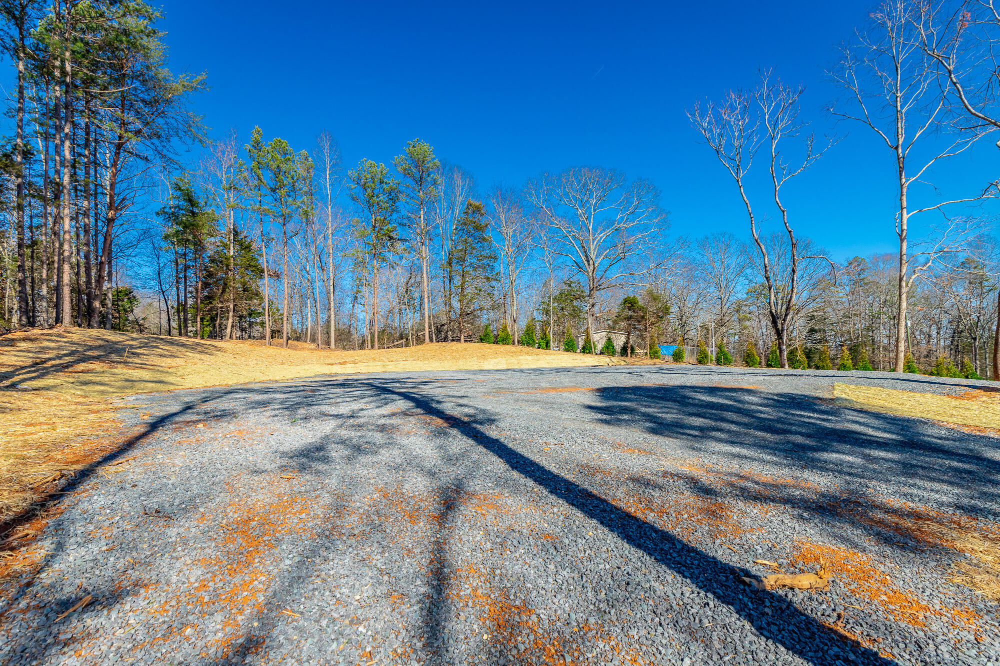 12495 Bettis Road Birchwood, TN 37308 - Photo 3 of 59 12711 Bettis Road Lot HD-3