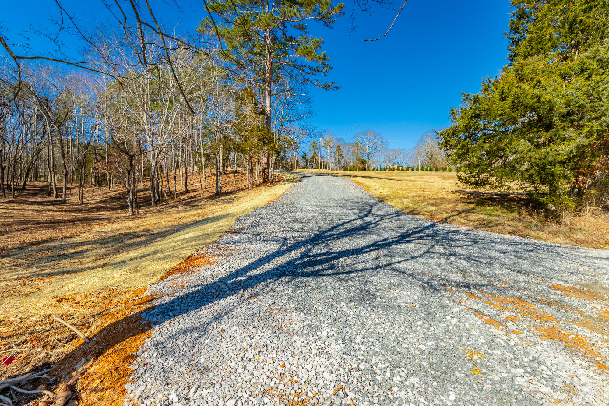 12495 Bettis Road Birchwood, TN 37308 - Photo 32 of 59 12711 Bettis Road Lot HD-31