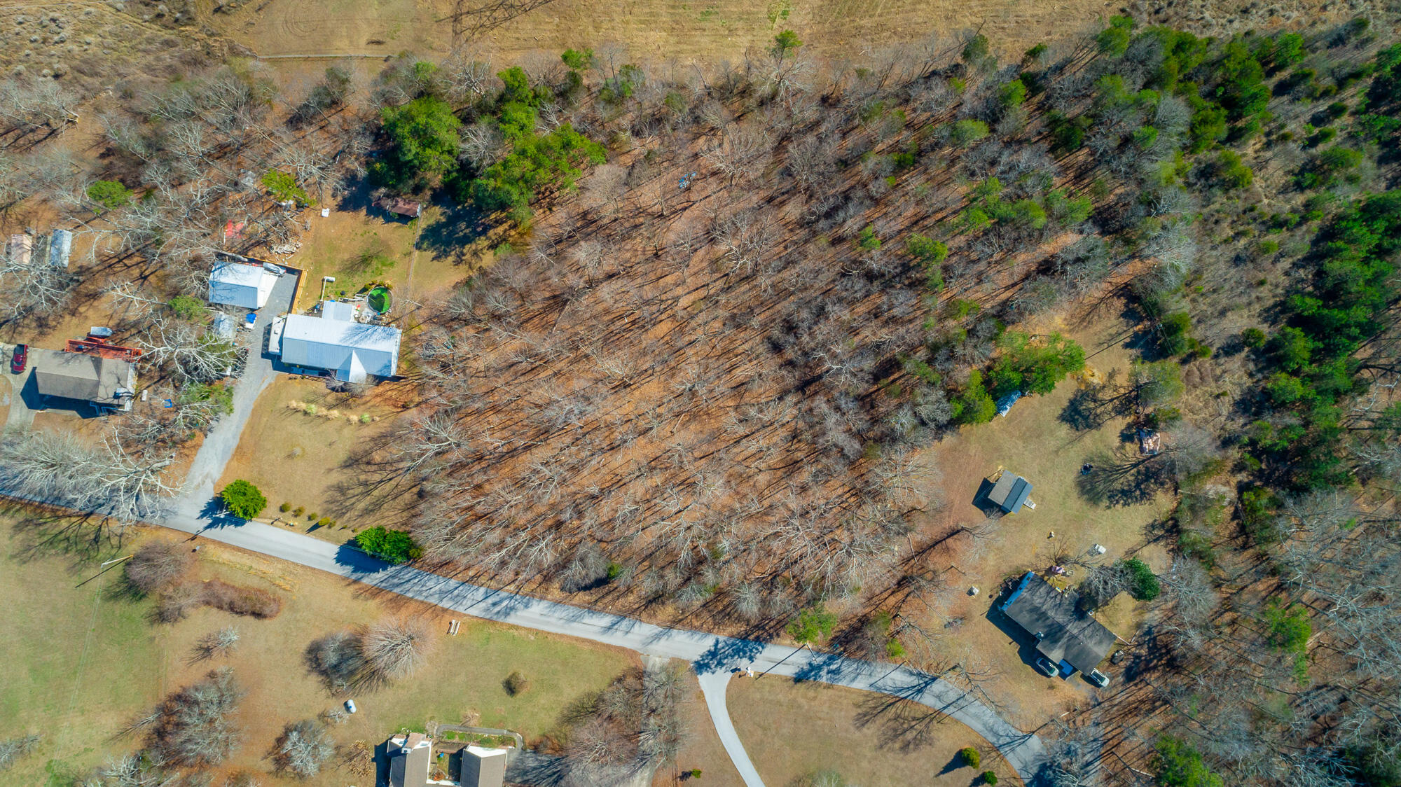 12495 Bettis Road Birchwood, TN 37308 - Photo 34 of 59 12711 Bettis Road Lot HD-42