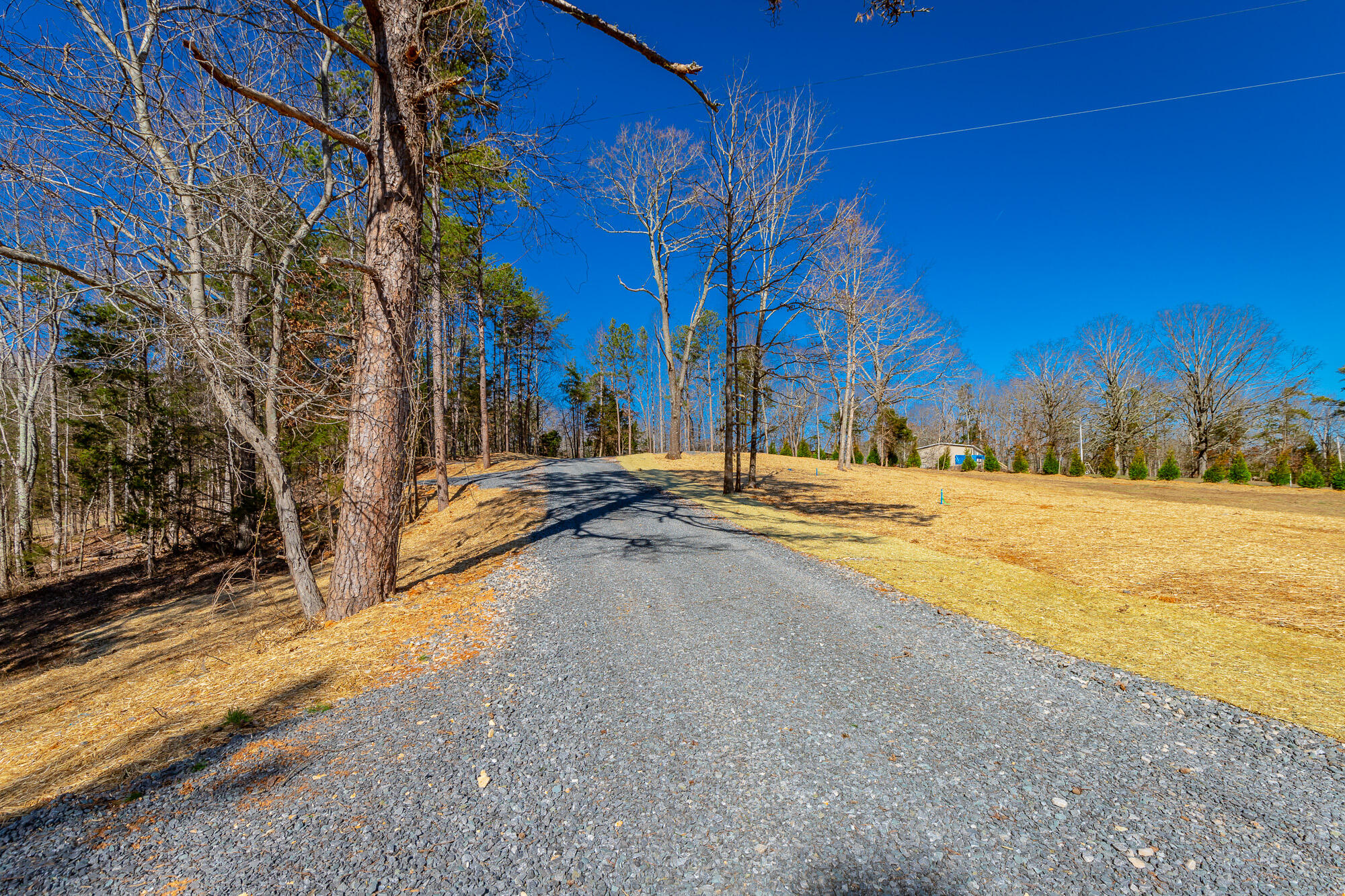 12495 Bettis Road Birchwood, TN 37308 - Photo 4 of 59 12711 Bettis Road Lot HD