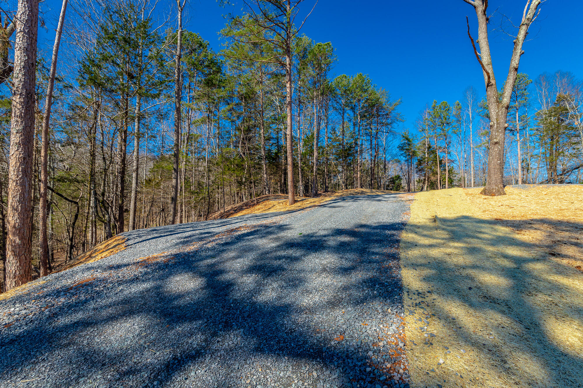 12495 Bettis Road Birchwood, TN 37308 - Photo 5 of 59 12711 Bettis Road Lot HD-2