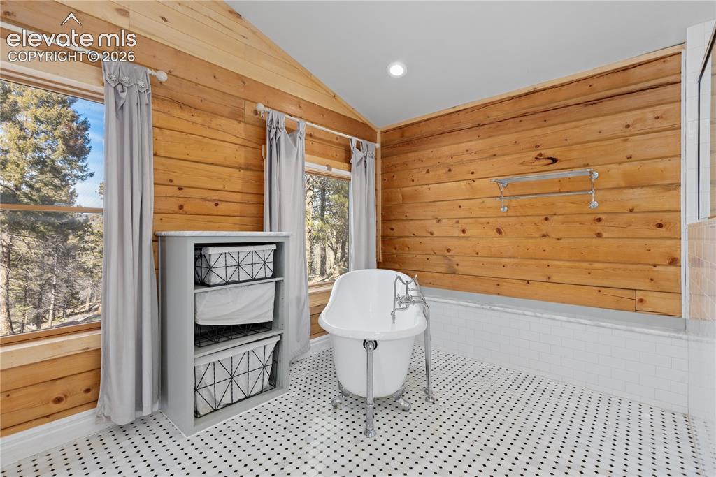 1910 Wildhorn Road Florissant, CO 80816 - Photo 19 of 49