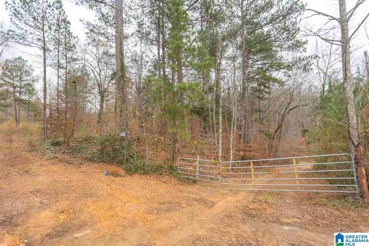 511 Tally Ho Road Anniston, AL 36207 - Photo 6 of 11