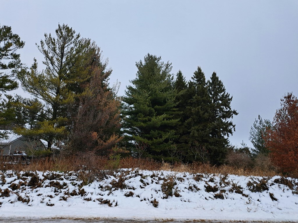 Hainesville Road Sturgeon Bay, WI 54235 - Photo 3 of 4