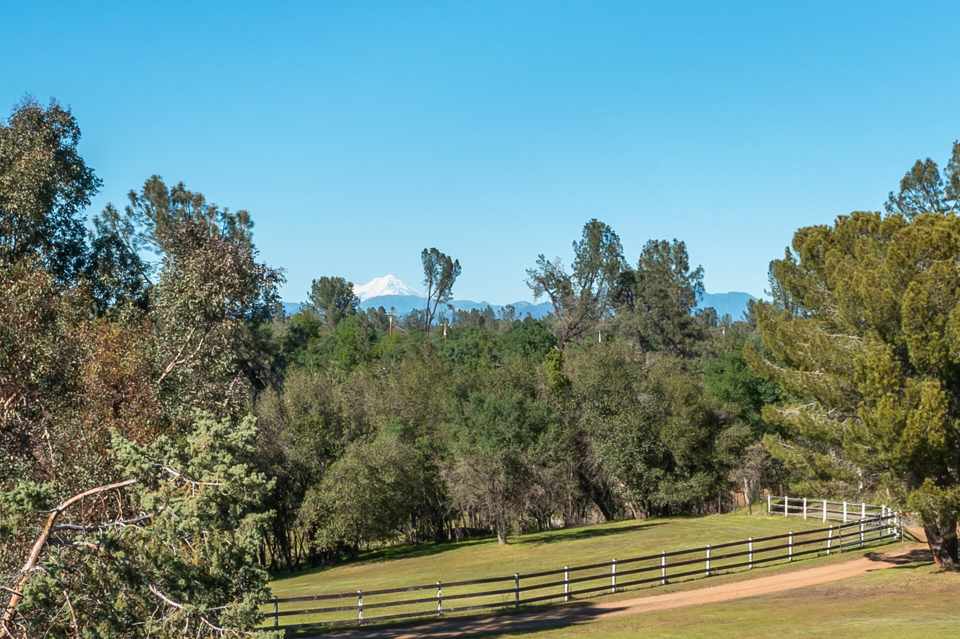 5240 Twyla Road Anderson, CA 96007 - Photo 21 of 32 100 view of Mt Shasta