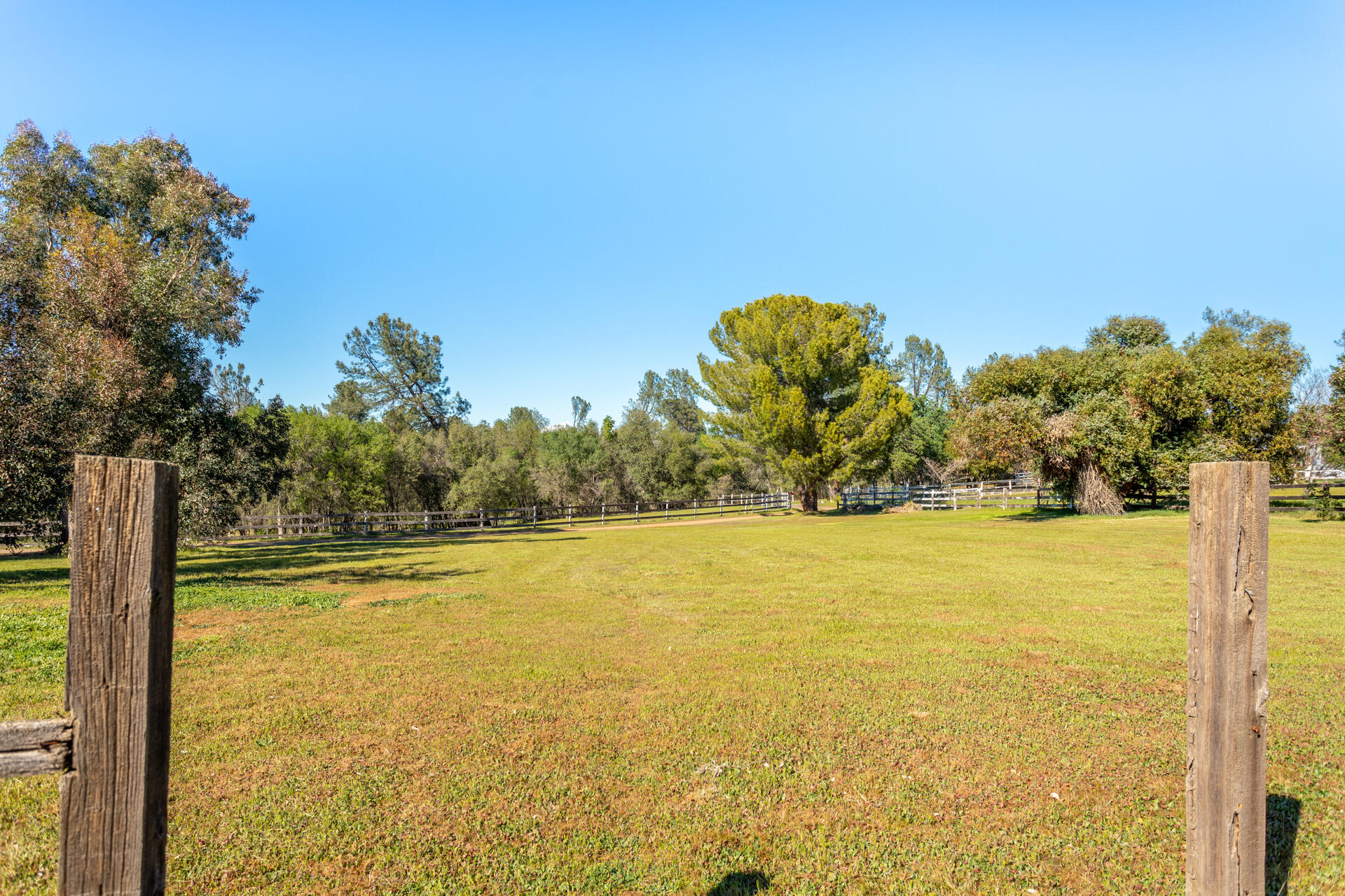 5240 Twyla Road Anderson, CA 96007 - Photo 23 of 32 11 front acreage