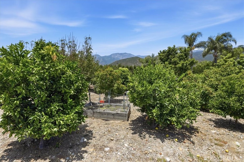 8318 La Senda Road Rancho Cucamonga, CA 91701 - Photo 64 of 68