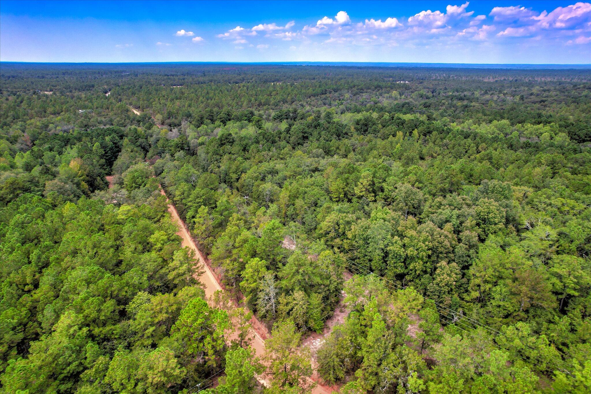 001 A Centerwood Road Williston, SC 29853 - Photo 7 of 19