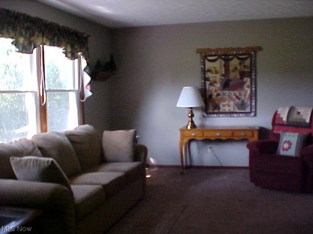 1859 Swartz Road Mogadore, OH 44260 - Photo 3 of 18 Formal Living Room with carpet flooring.
