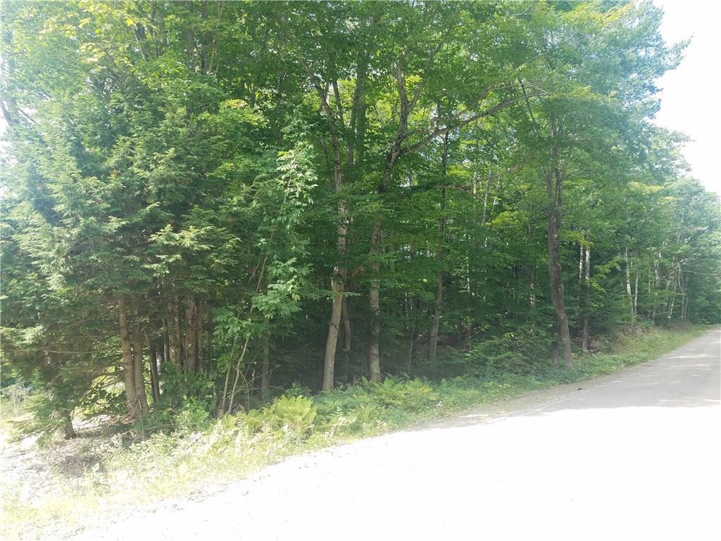 Lot #18 Canton Mountain Road Jay, ME 04239 - Photo 1 of 1 Photo