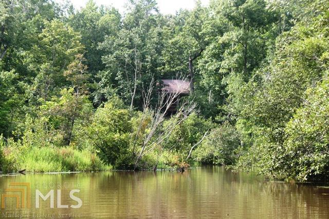 0 Lackey Road Talbotton, GA 31827 - Photo 1 of 1
